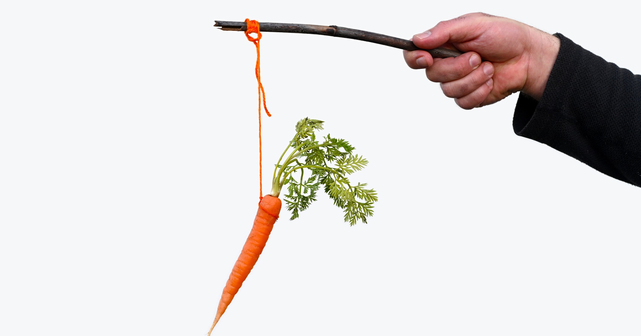 Picture for The Carrot and Stick Approach to OTT Content blog