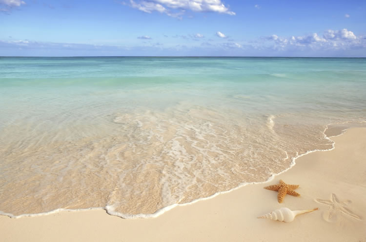 incognito-software-beach-waves