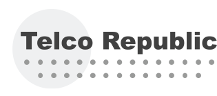 Telco Republic Banner logo