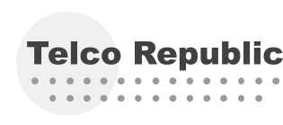 Telco Republic logo